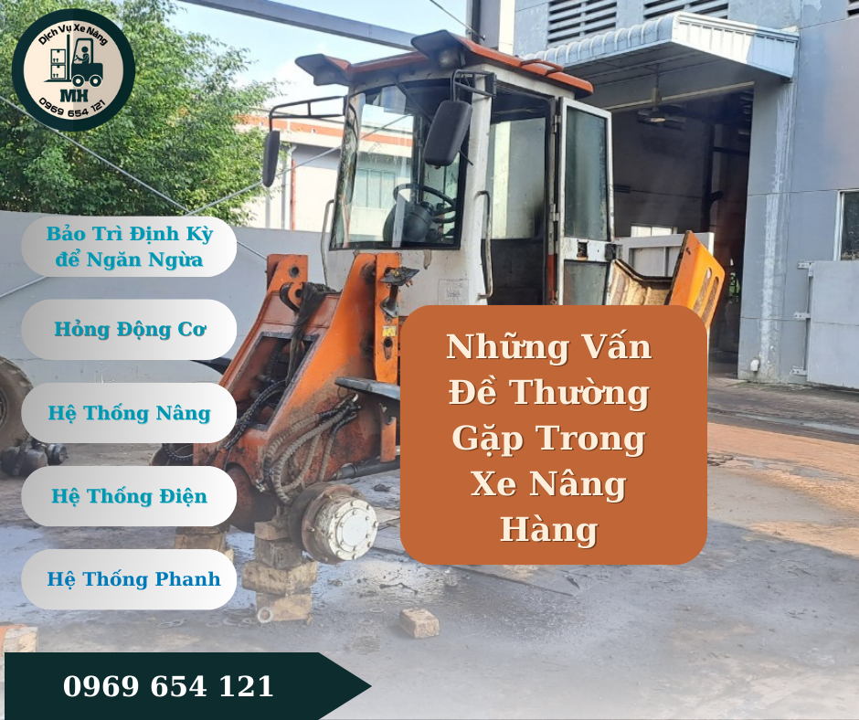 Những Vấn Đề Thường Gặp Trong Xe Nâng Hàng Bình Dương