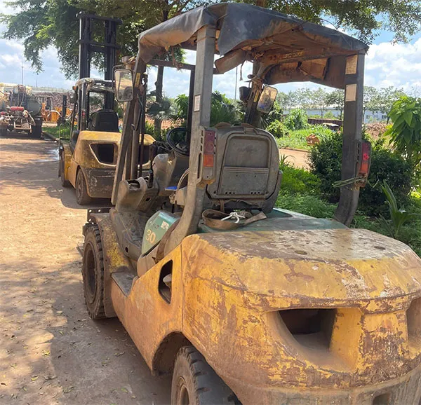 thu-tuc-nhap-khau-xe-nang